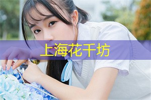 如网球场、篮球场和足球场 如网球场、篮球场和足球场