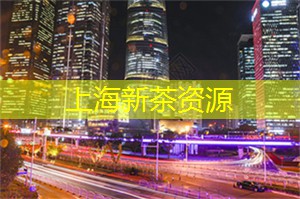 石雕柱础：传统建筑中的艺术瑰宝，展现古代建筑美学