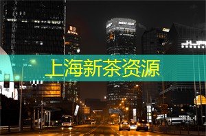 上海交友软件哪个靠谱