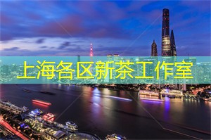 街头乐队与夜晚的狂欢劲舞 街头乐队与夜晚的狂欢劲舞